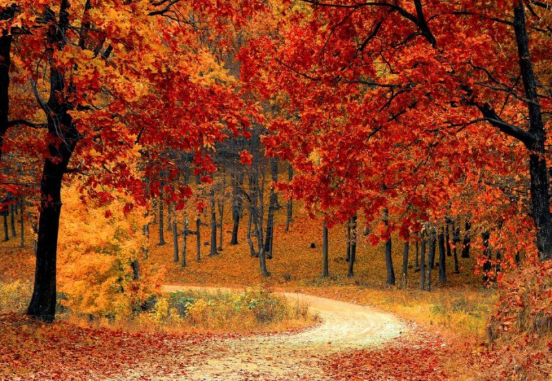 Thành phố châu Á nào có mùa thu đẹp nhất?